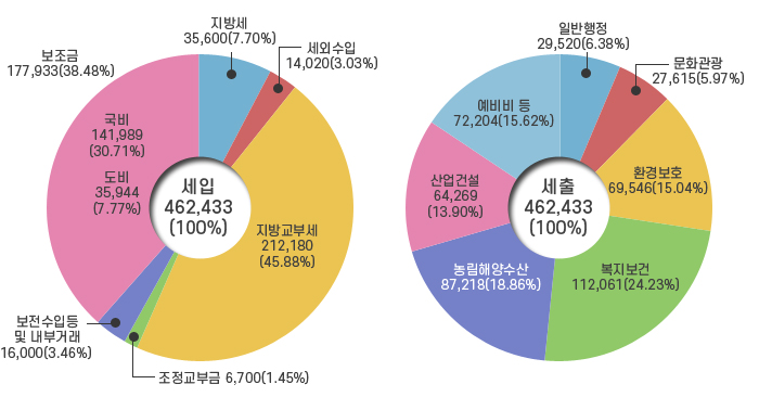 세입462,433(100%){지   방   세 35,600(7.70%), 세 외 수 입14,020(3.03%), 지방 교부세212,180(45.88%),조정교부금6,700(1.45%),보전수입등및내부거래16,000(3.46%),보   조   금177,933(38.48%),∙ 국고보조금141,989(30.71%),∙ 도비보조금35,944(7.77%)} / 세출462,433(100%){일반공공행정29,520(6.38%),문화관광27,615(5.97%),환경보호69,546(15.04%),복지․보건112,061(24.23%),농림해양수산87,218(18.86%),산업건설64,269(13.90%),예비비및기타72,204(15.62%)}