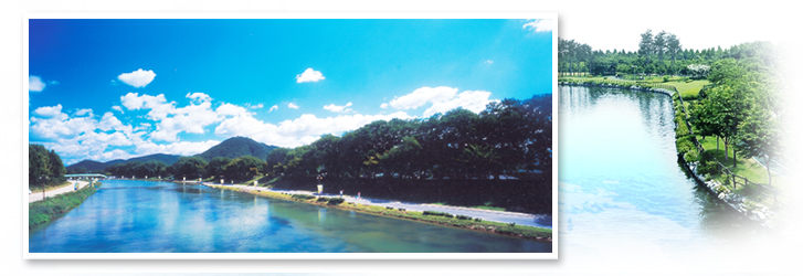 담양관방제림 사진