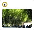 대나무골테마공원