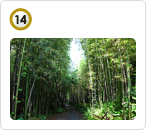 대나무골테마공원