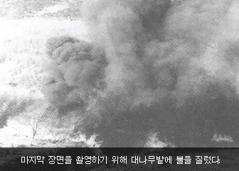 마지막 장면을 촬영하기 위해 대나무밭에 불을 질렀다.