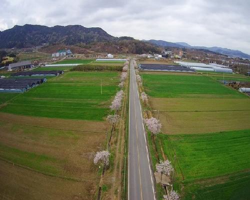 대덕면에서 화순 온천장 가는길 대표사진
