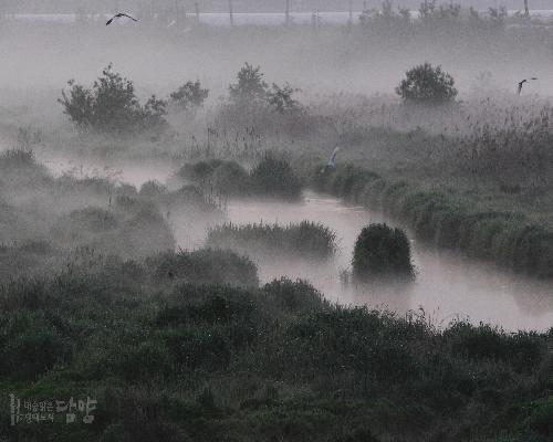 담양 하천습지 대표사진