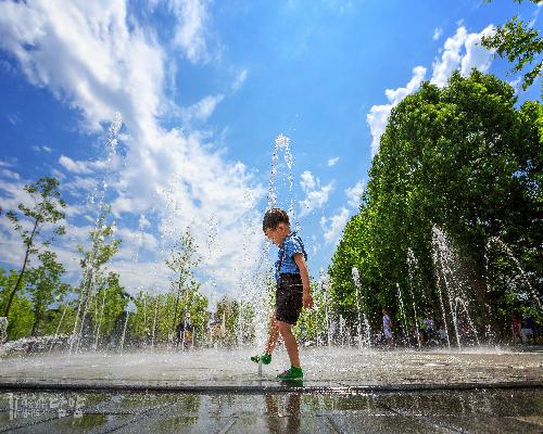 담양 죽녹원 앞 분수광장 대표사진