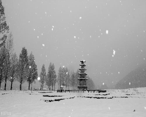 담양 오층석탑 대표사진