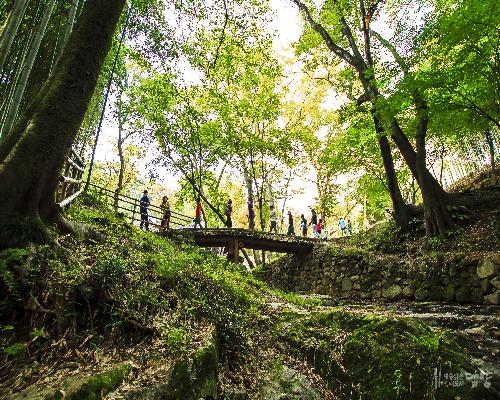 담양 소쇄원 대표사진
