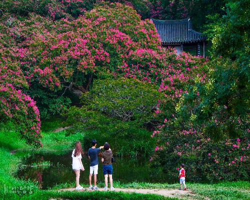 담양 명옥헌원림 대표사진