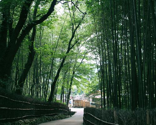 조용한 휴식 대표사진