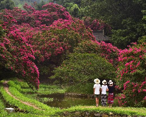 이렇게 아름다울수가 대표사진
