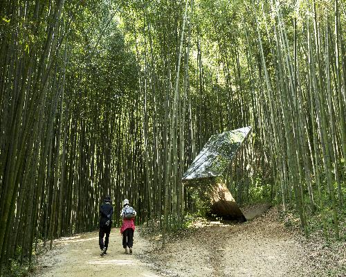 죽녹원 대표사진