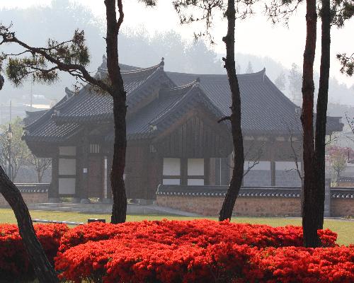 죽향체험마을 대표사진