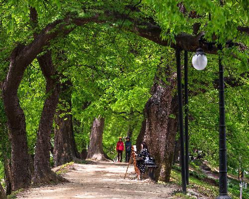 풍경화속풍경화 대표사진