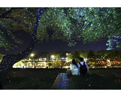 환상적인 축제의 밤(대상작) 대표사진