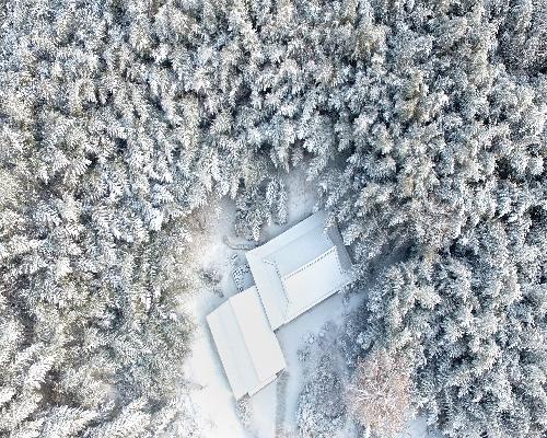 죽녹원의 겨울 대표사진