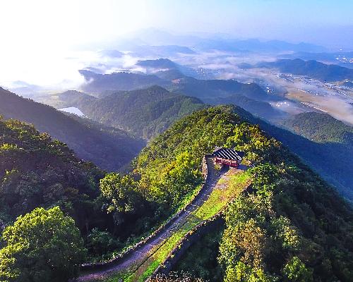 천년의 담양 대표사진