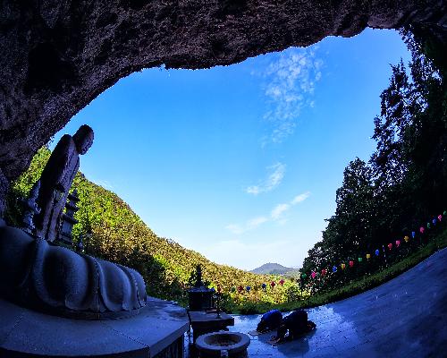 천년지기 대표사진