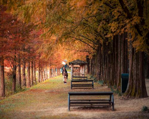 추억만들기 대표사진