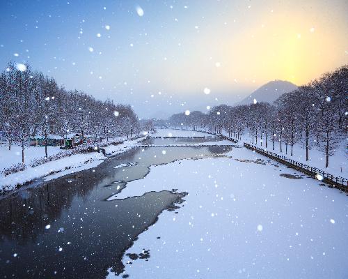 함박눈이 내리는 관방제림 대표사진
