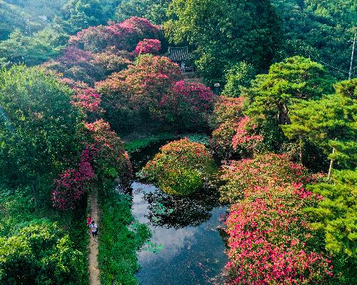 8월의 명옥헌원림(입선) 대표사진