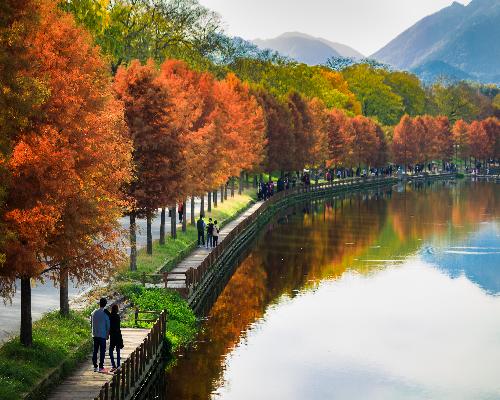 가을 속의 여유(장려상) 대표사진