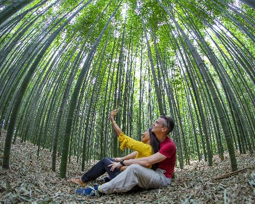 추억 만들기(장려상) 대표사진