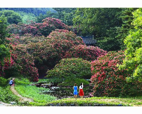 아름다움 앞에 서다(대상) 대표사진