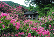 담양 후산리명옥헌원림(潭陽 后山...