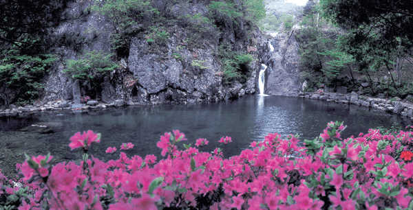 8월의 추천여행지 -...