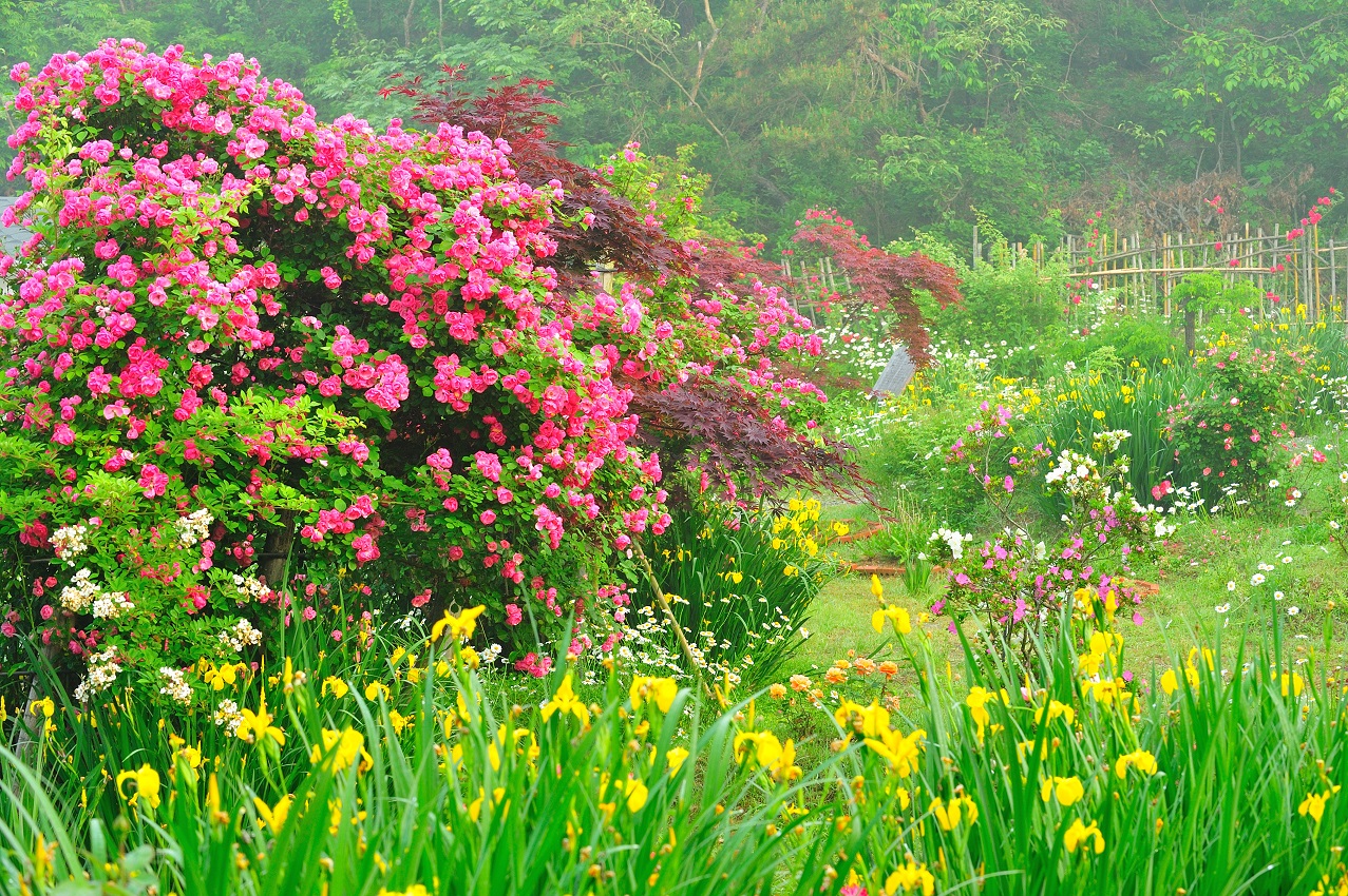 5월의 추천여행지 -...
