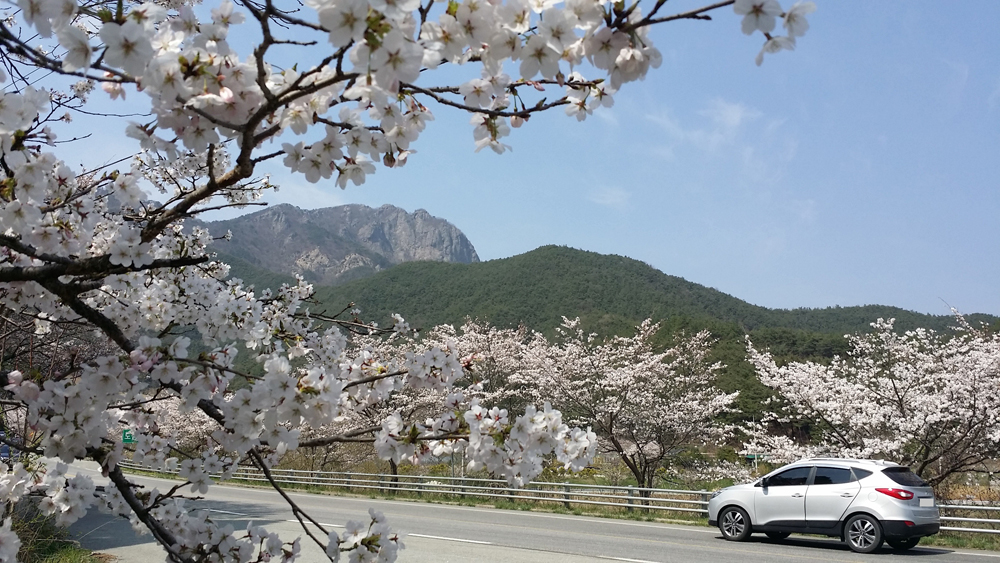 4월의 추천여행지