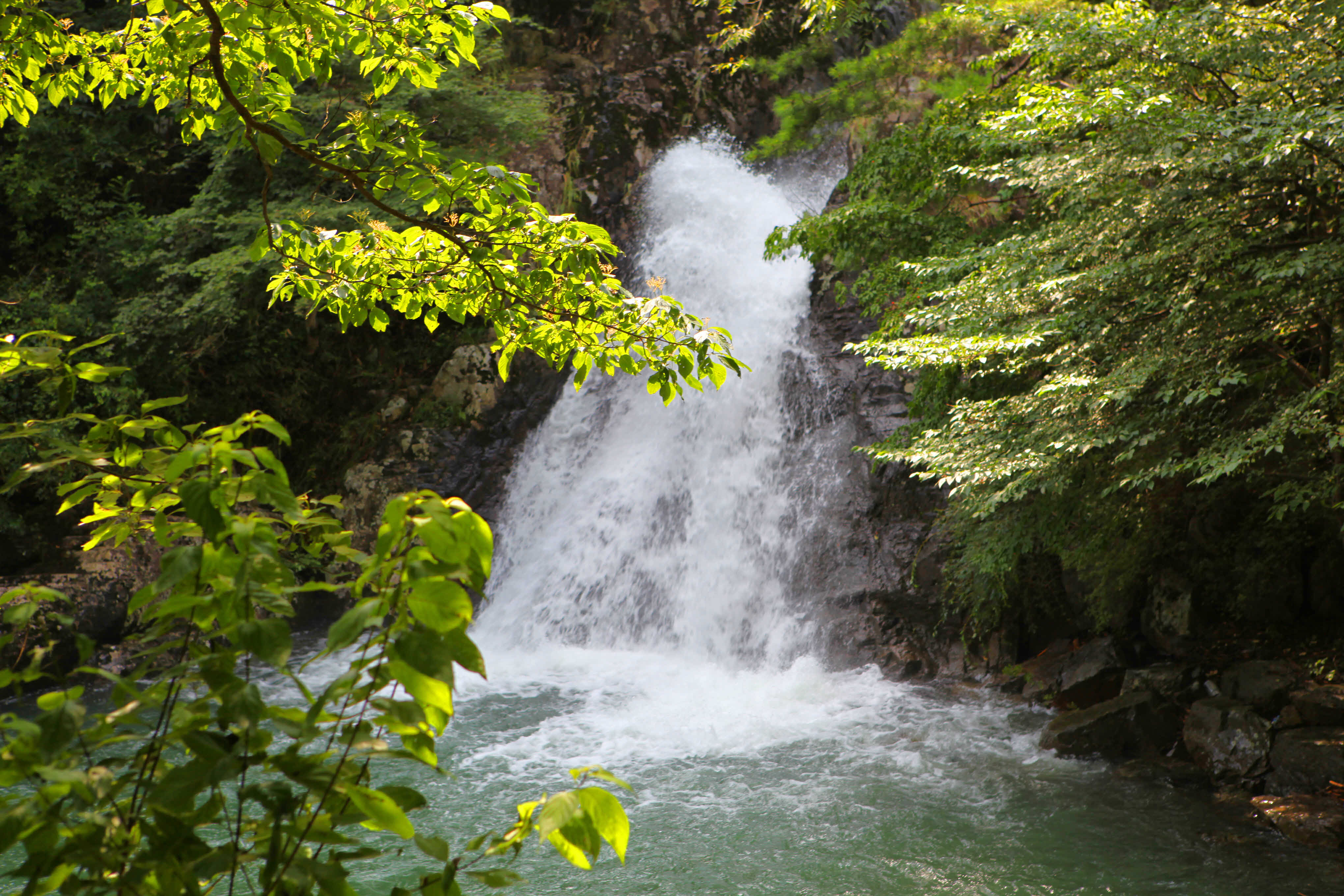 가마골 생태공원