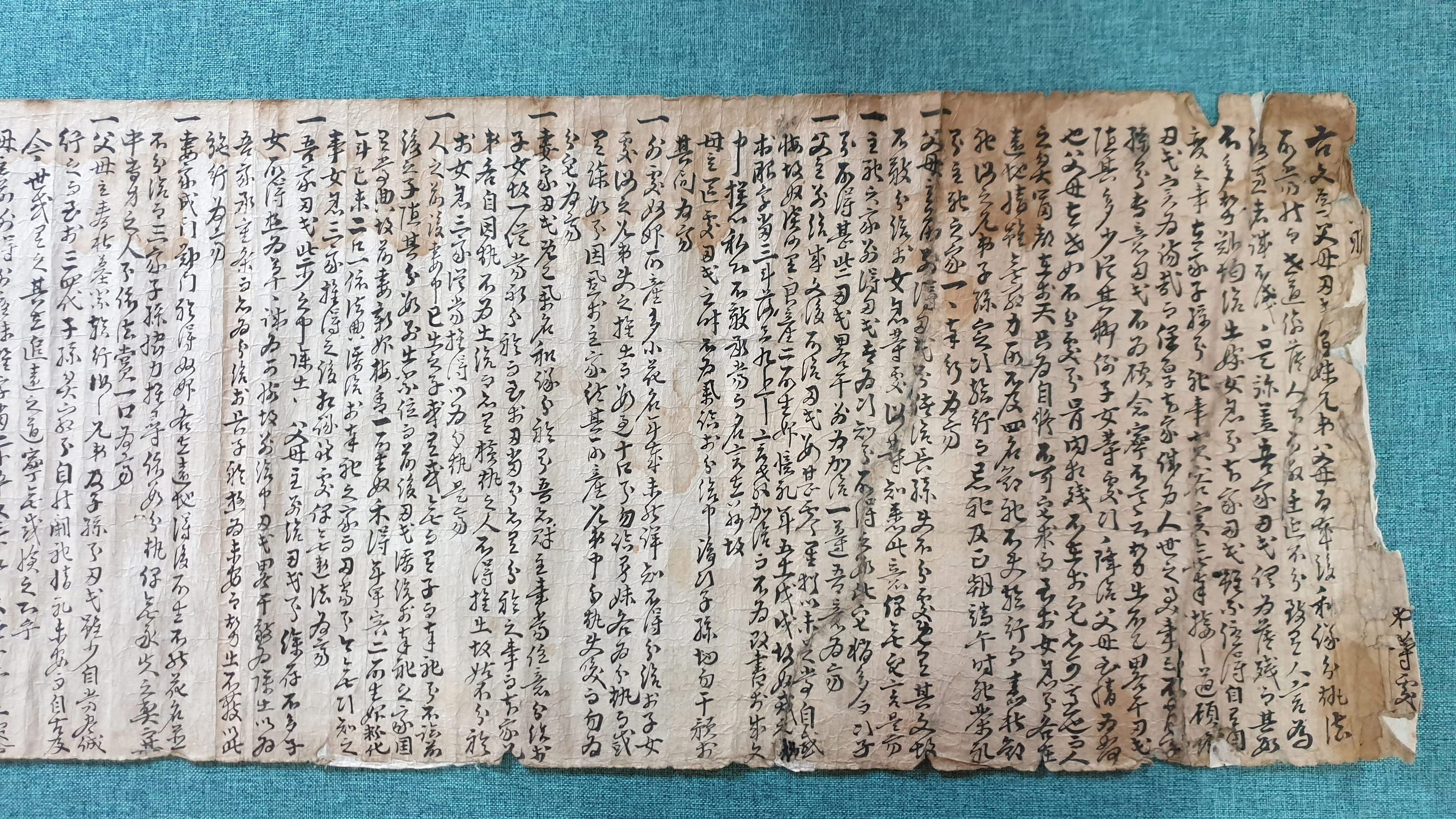 담양 고세태 분재기