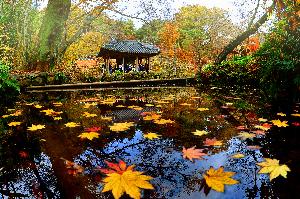 대상 김택수 作 광풍각 만추 대표사진
