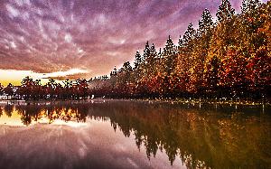 우수상 심재환 作 자연생태공원 대표사진