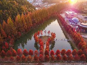 장려상 김정훈 作 담양의 가을 색감 대표사진