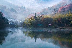 입선 손석 作 아름다운 외추지 대표사진