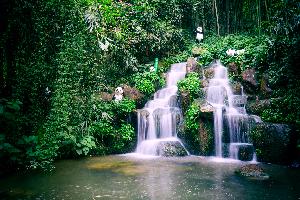입선 김형수 作 죽녹원의 여유 대표사진