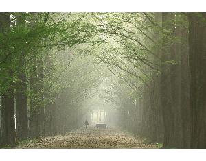 입선 범수연 作 빛내림의 순간 대표사진