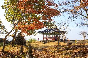 입선 김상범 作 금성산성의 단풍 대표사진