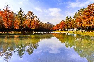 장려상 김지영 作 아름다운 풍경 대표사진