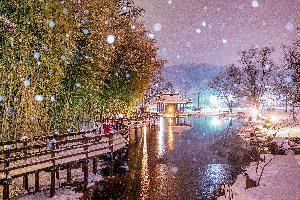 우수상 박혜진 作 겨울의 죽녹원 대표사진