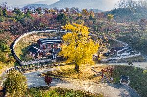 우수상 이종백 作 창평향교의 가을 대표사진